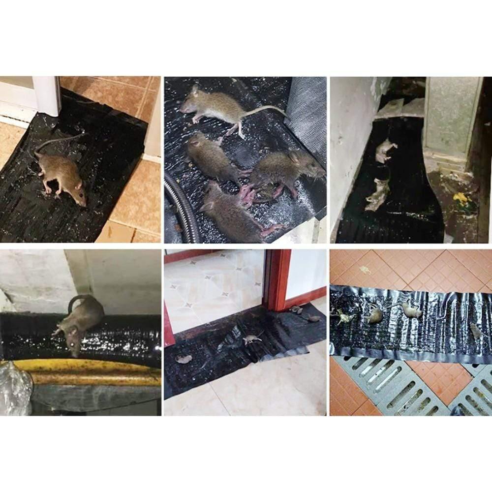 anti ratten klebefallen Seitenansicht – Eloramode