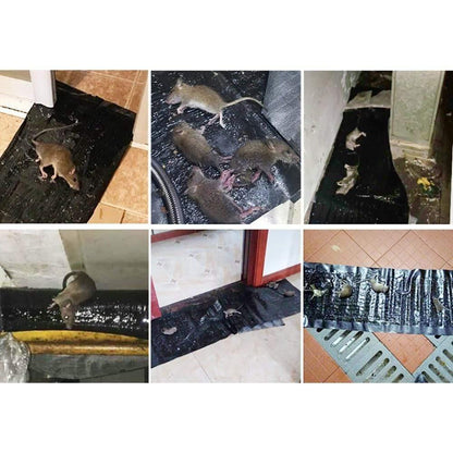 anti ratten klebefallen Seitenansicht – Eloramode