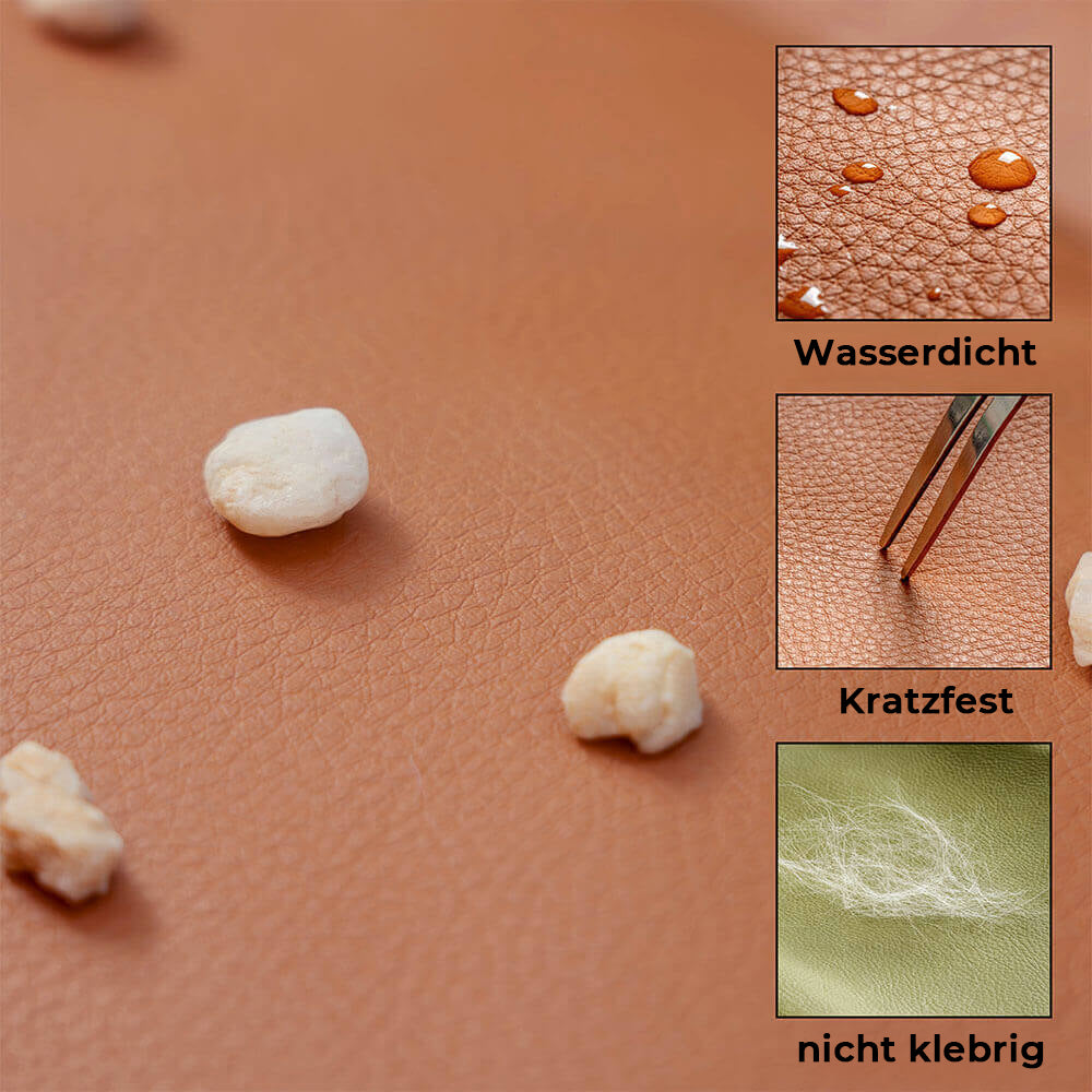 deluxe hundesitz fuers auto Rueckansicht – Eloramode