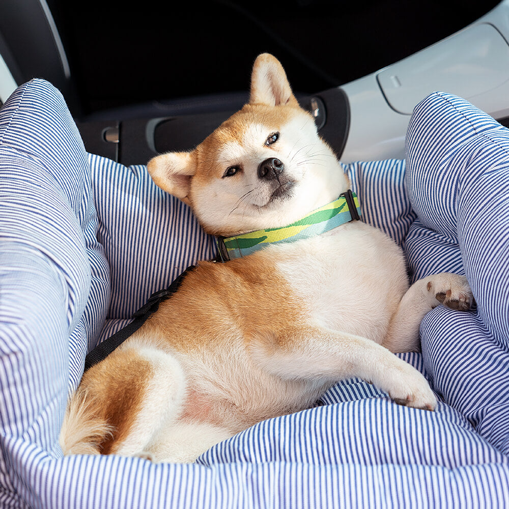 grosser hundeautositz Farbvariante – Eloramode