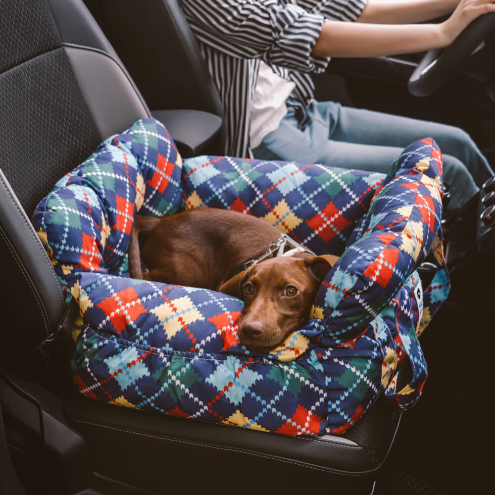 grosser hundeautositz Perspektive – Eloramode