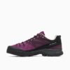 Salomon Advanced X-ALP Leather